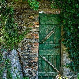 Meet your Posher, Ornina